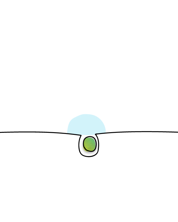 ri-lab-scuola-bambino-eulab-scienzadellafelicità-laboratoriodellafelicità-laboratorio-della-felicità-scienza-della-felicità-rilab-rilaboriamo-ri-lab