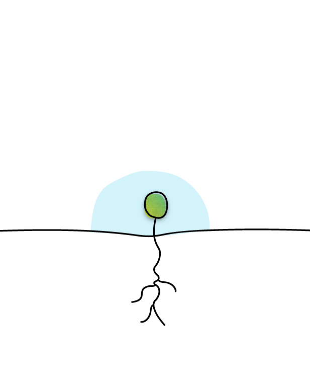 ri-lab-scuola-bambino-eulab-scienzadellafelicità-laboratoriodellafelicità-laboratorio-della-felicità-scienza-della-felicità-rilab-rilaboriamo-ri-lab