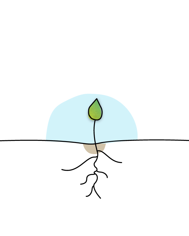 ri-lab-scuola-bambino-eulab-scienzadellafelicità-laboratoriodellafelicità-laboratorio-della-felicità-scienza-della-felicità-rilab-rilaboriamo-ri-lab