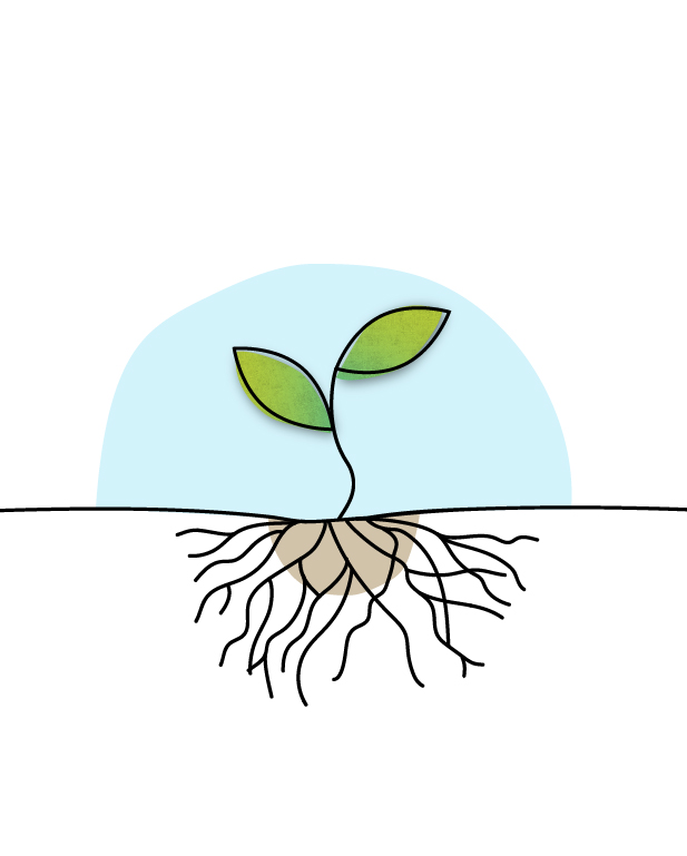 ri-lab-scuola-bambino-eulab-scienzadellafelicità-laboratoriodellafelicità-laboratorio-della-felicità-scienza-della-felicità-rilab-rilaboriamo-ri-lab