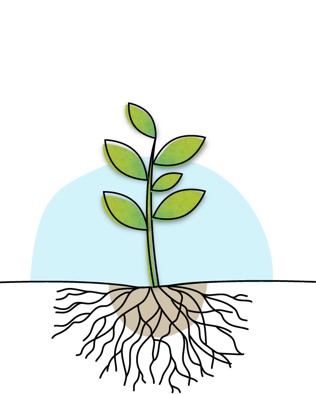 ri-lab-scuola-bambino-eulab-scienzadellafelicità-laboratoriodellafelicità-laboratorio-della-felicità-scienza-della-felicità-rilab-rilaboriamo-ri-lab