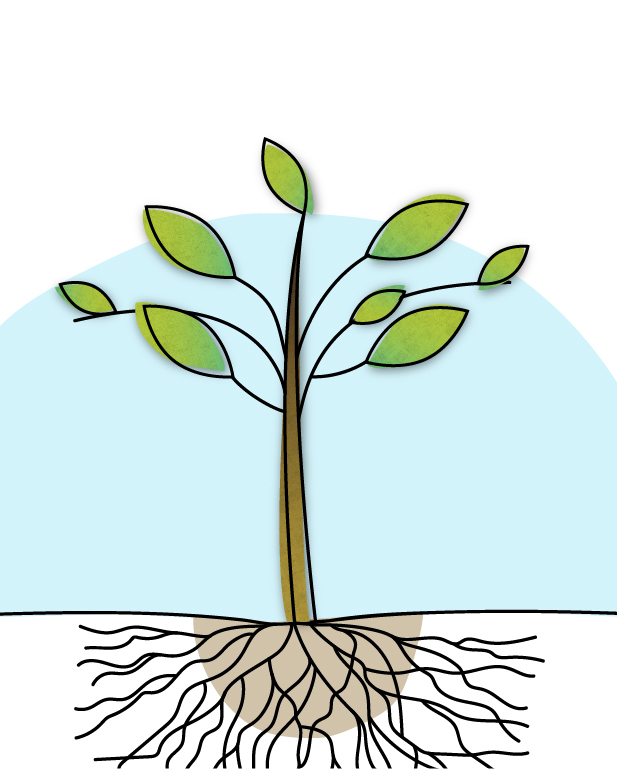 ri-lab-scuola-bambino-eulab-scienzadellafelicità-laboratoriodellafelicità-laboratorio-della-felicità-scienza-della-felicità-rilab-rilaboriamo-ri-lab