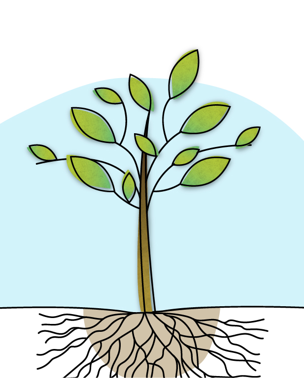 ri-lab-scuola-bambino-eulab-scienzadellafelicità-laboratoriodellafelicità-laboratorio-della-felicità-scienza-della-felicità-rilab-rilaboriamo-ri-lab