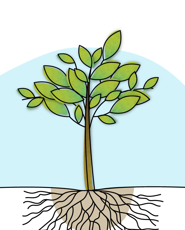 ri-lab-scuola-bambino-eulab-scienzadellafelicità-laboratoriodellafelicità-laboratorio-della-felicità-scienza-della-felicità-rilab-rilaboriamo-ri-lab